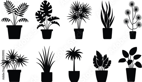 Potted plant silhouette vector set, indoor houseplants collection, tropical foliage decor design, black flat botanical icon, cad drawing illustration