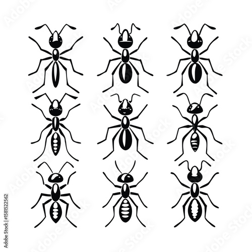 A set of black silhouettes of ants on a white background