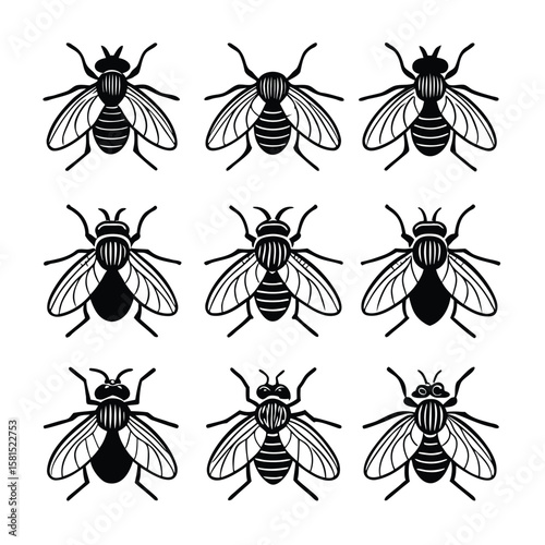 A set of black silhouettes of fly insects