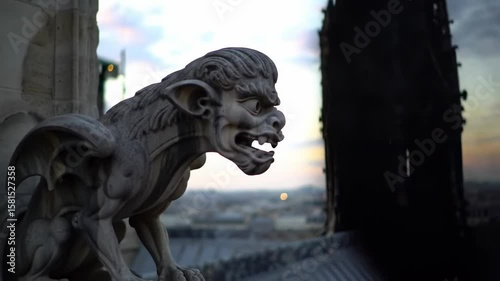 Stone gargoyle on a cathedral