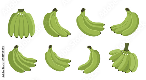 Green Banana Collection: Fresh and Healthy Fruit Vector Art