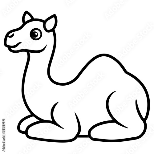 baby camel resting on legs on white background