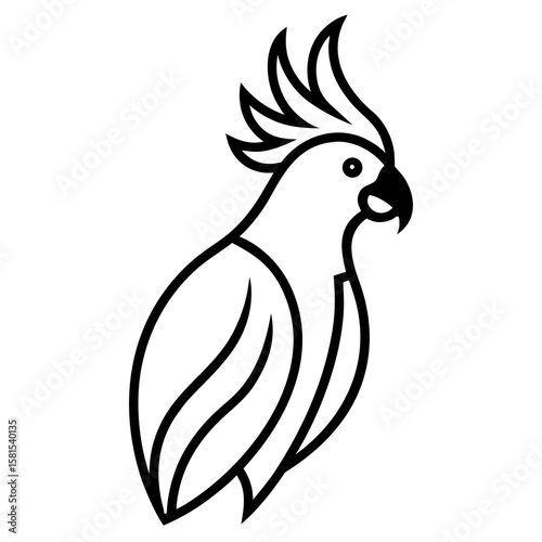 cockatoo with raised crest on white background