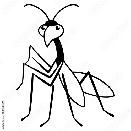 mantis praying with bent arms on white background