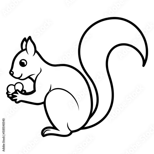 red squirrel gathering nuts on white background