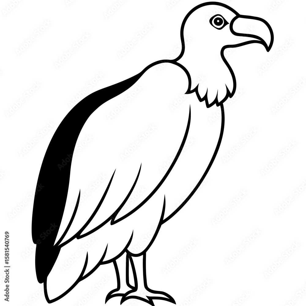 Obraz premium vulture perched looking down on white background