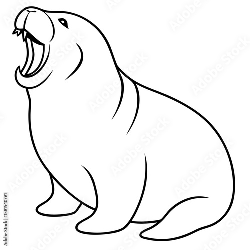 walrus yawning wide on white background