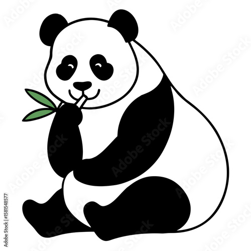 giant panda sitting and eating bamboo on white background