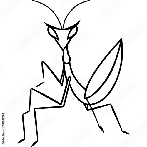 mantis praying with bent arms on white background