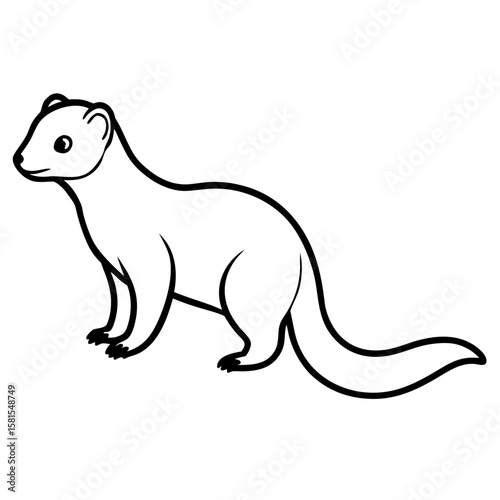 mongoose standing alert on white background