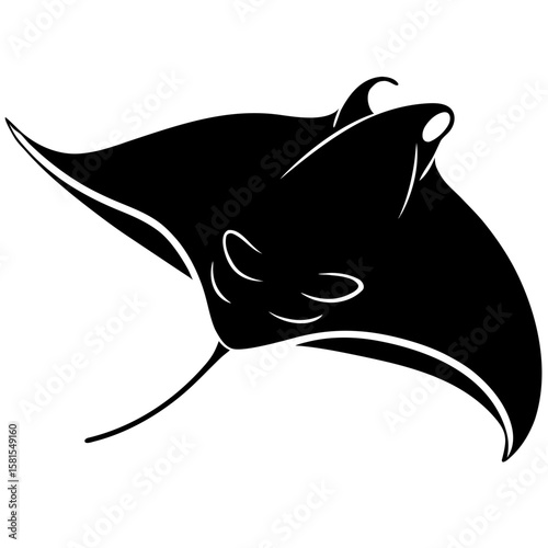 stingray with rippling fins on white background