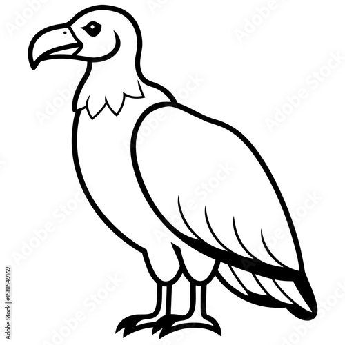 vulture perched looking down on white background