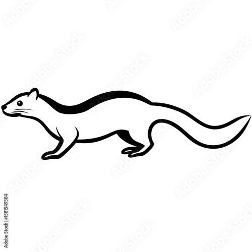 weasel running quickly on white background