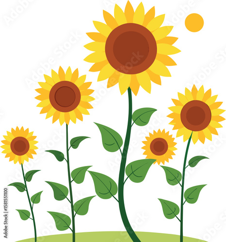 Sunflower Vector Set in Flat Design