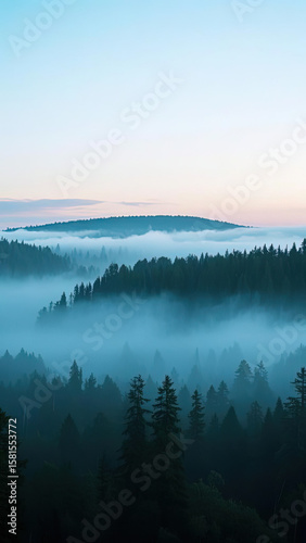 Misty Forest at Dawn: A Serene Landscape for Nature Enthusiasts and Design Projects