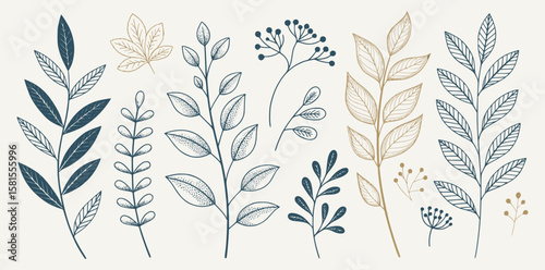 A delicate assortment of hand-drawn botanical illustrations ideal for organic branding and nature-inspired decor, featuring elegant leaves and branches in soft, earthy tones with fine line detail.