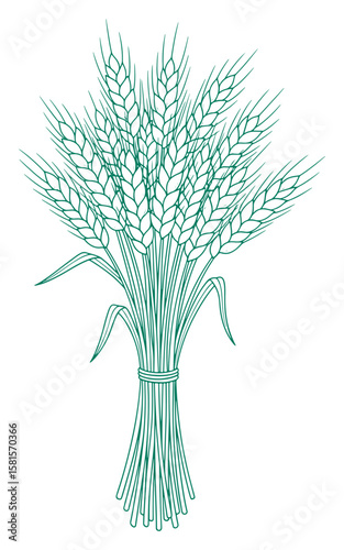 Vector Illustration of a Sheaf of Wheat in Teal Outline