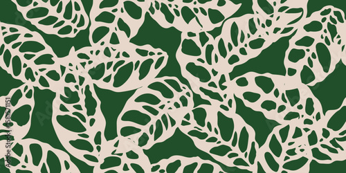 Hand drawn rare monstera obliqua floral pattern in white and green colors. Exotic tropical flower seamless pattern. Design for fabric, cover, textile, wallpaper.