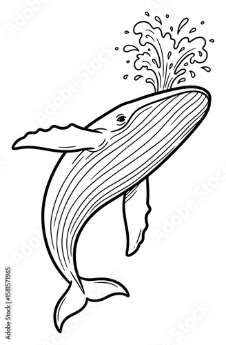 Detailed Black and White Line Drawing of a Humpback Whale Spouting Water