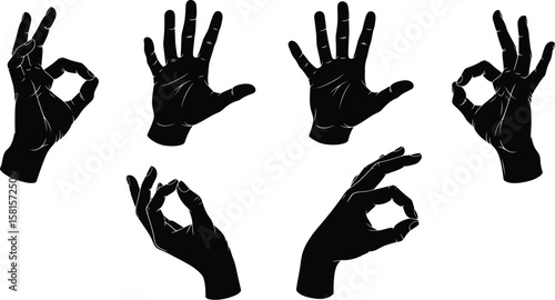 Elegant black hand silhouettes displaying ok gestures on white