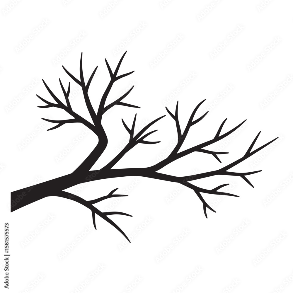 Fototapeta premium Silhouette of a bare tree branch in black and white isolated on white background
