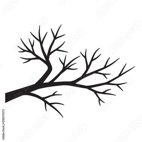 Silhouette of a bare tree branch in black and white isolated on white background