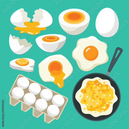 Collection of various cooked and raw eggs in a flat design style
