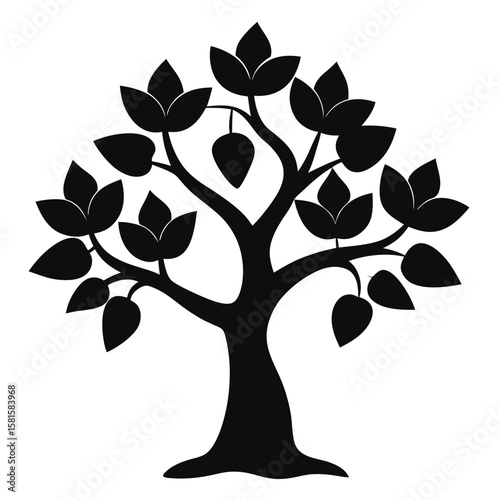 Fig Tree Silhouette on White Background