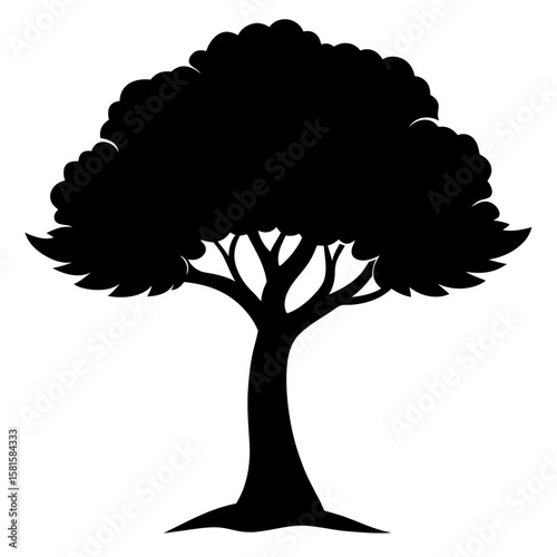 Tamarind Tree Silhouette on White Background