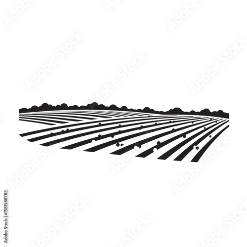 Black and white vector illustration of a farm field with rows of crops and trees
