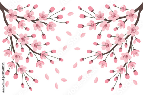 Charming cherry blossom branches with falling petals present a delicate and beautiful springtime floral design.