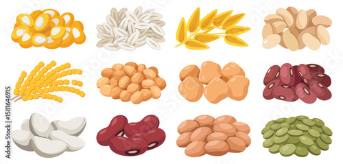 Collection of diverse healthy grains beans and seeds in a flat design style
