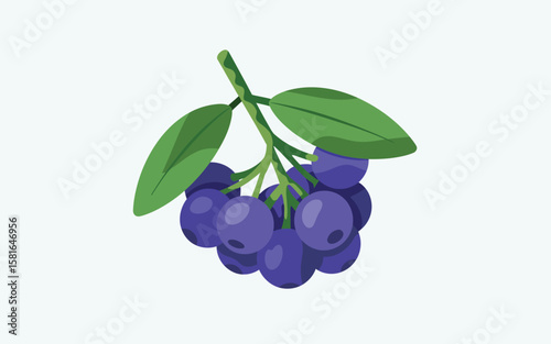 Illustration of a cluster of ripe blueberries with green leaves on a light background