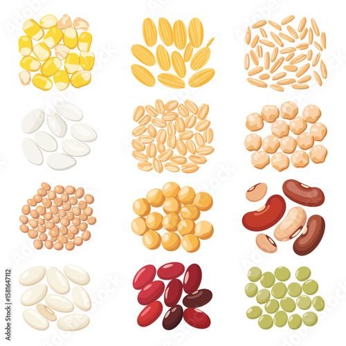 Collection of various uncooked grains and legumes arranged in squares