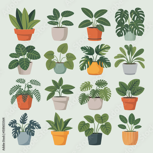 Collection of various potted houseplants in different styles and colors