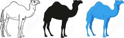 Three camel styles show outline, silhouette and blue illustration.
