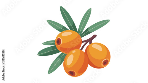 Illustration of vibrant orange sea buckthorn berries on a branch with green leaves