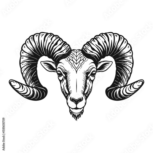 Ram Head Vector Illustration Bold Mascot Design