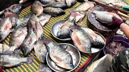  Fishmonger is chopping a fish, in the market Chiangmai Thailand.