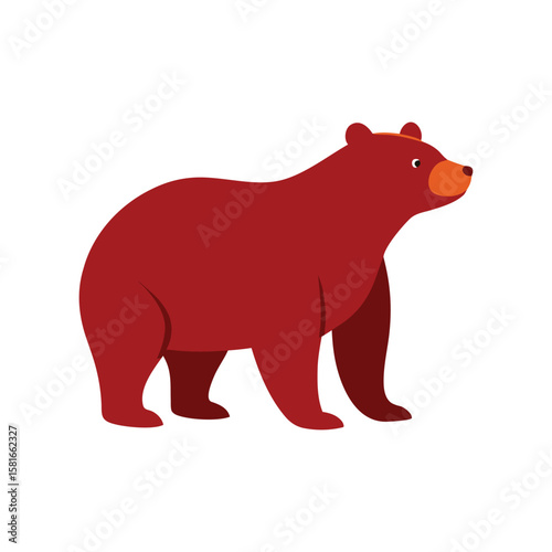 vector illustration of bear