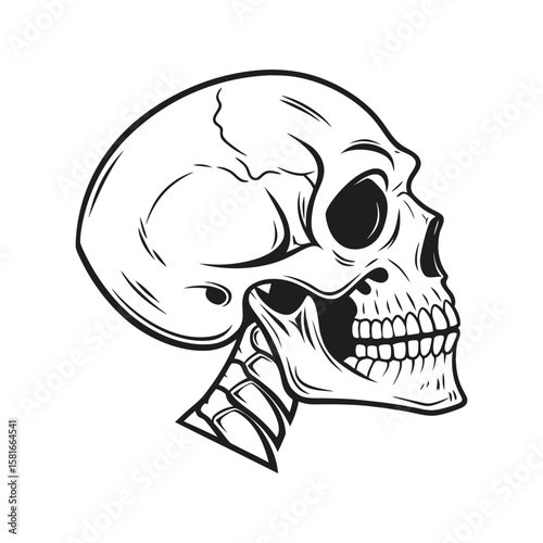 skull and crossbones