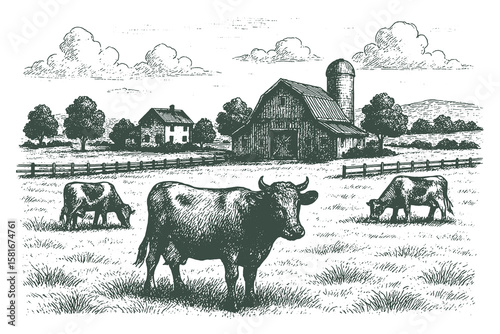 Vintage farm landscape with cows grazing in the field and barns in the background, hand-drawn engraving style.