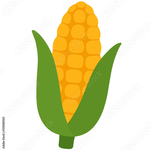 Sweet Corn Delight: A brightly colored illustration of an ear of corn with green husks, ideal for food and harvest designs.