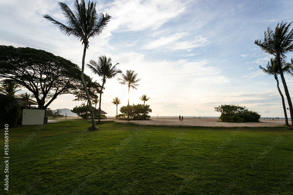 Fototapeta premium Silhouette of Palm Trees at Sunset, Sabah, Malaysia