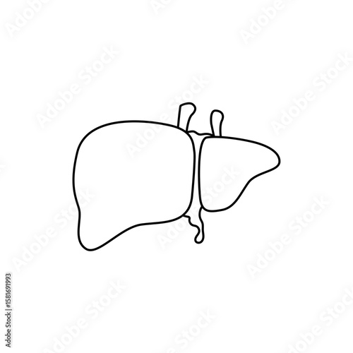 Human liver icon illustration