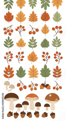 Autumn Leaves Berries Mushrooms Acorns Fall Harvest Seasonal Nature