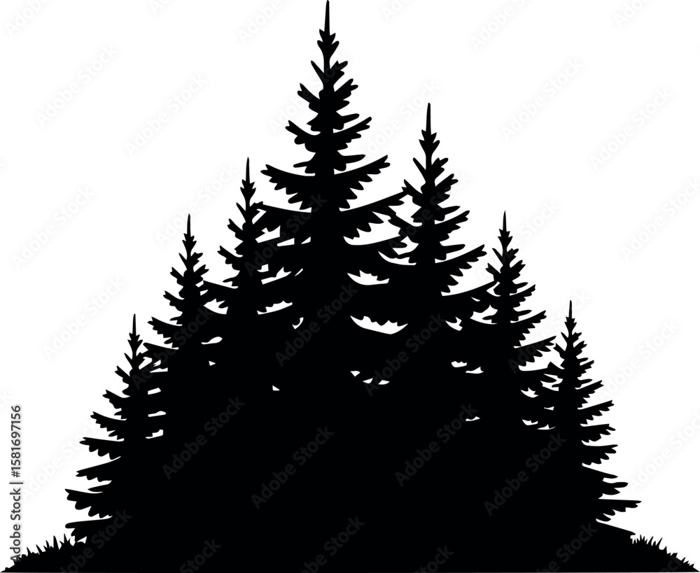 Fototapeta premium Silhouette of evergreen trees forest vector graphic for nature and outdoor design
