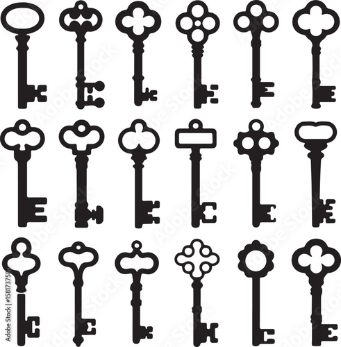 Antique skeleton keys ornate decorative vintage metal vector