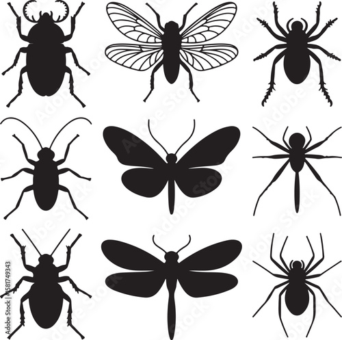 Black insect silhouettes beetle butterfly dragonfly spider vector