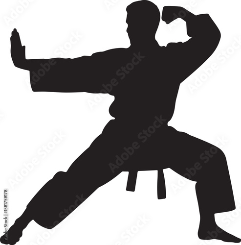 Martial artist performing karate stance silhouette martial arts fighter